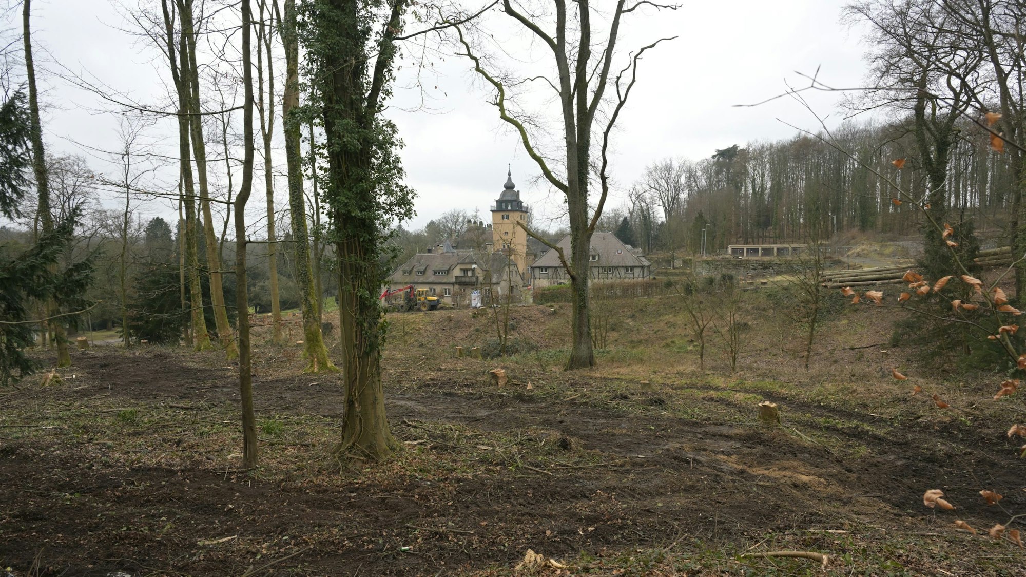 Zwischen einigen einzelnen Bäumen hindurch ist Schloss Lerbach zu sehen.