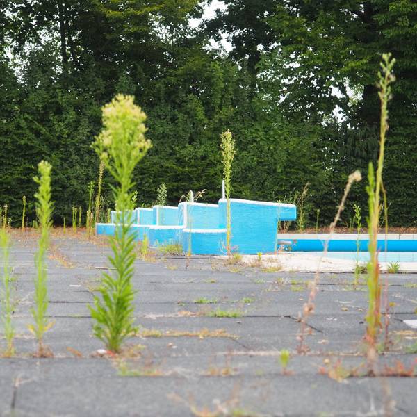 Zu sehen ist das Freibad Lechenich ein Jahr nach der Flut, Pflanzen wachsen aus den Zwischenräumen der Betonplatten.