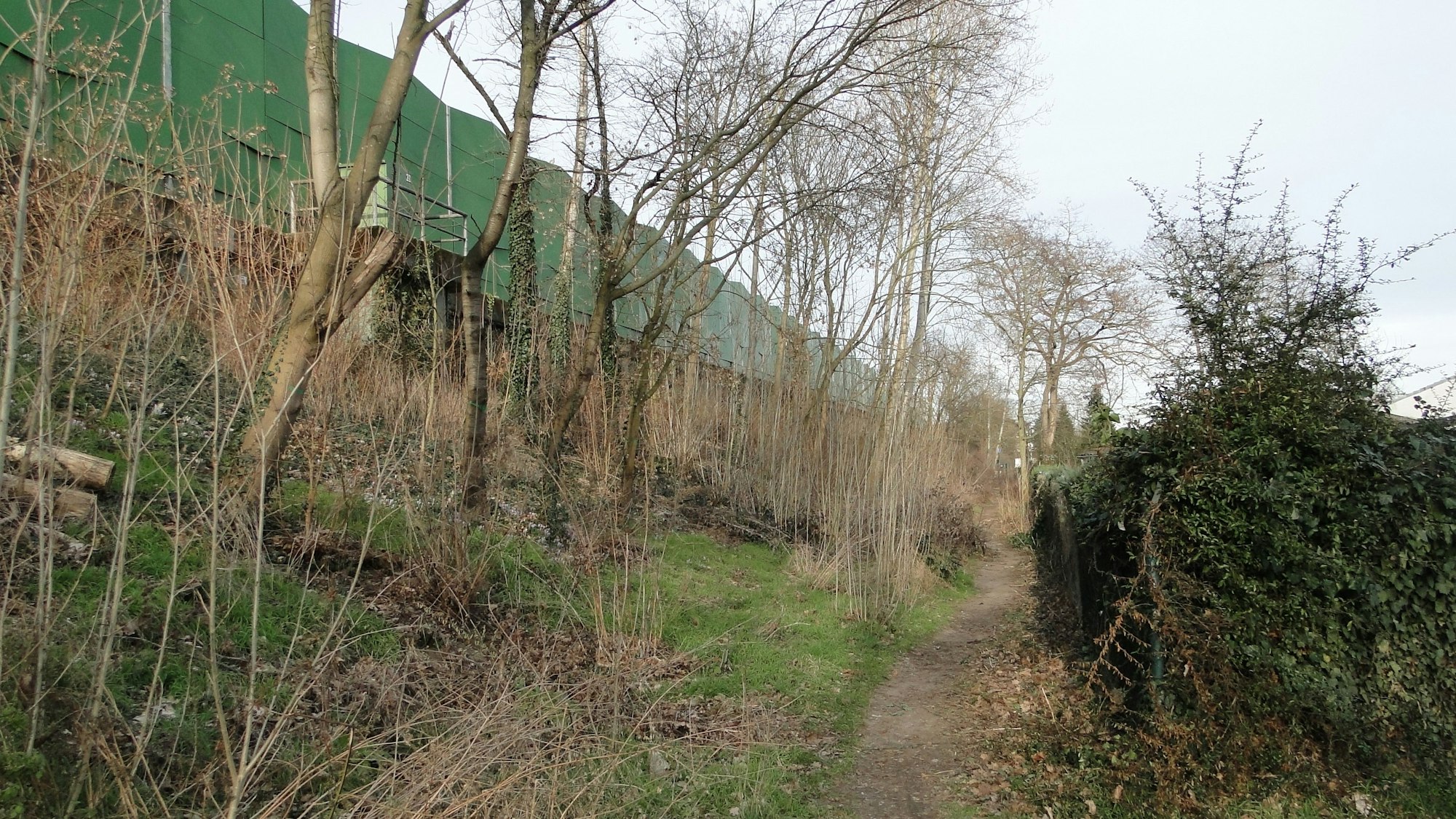 Trampelpfad entlang einer Autobahnböschung