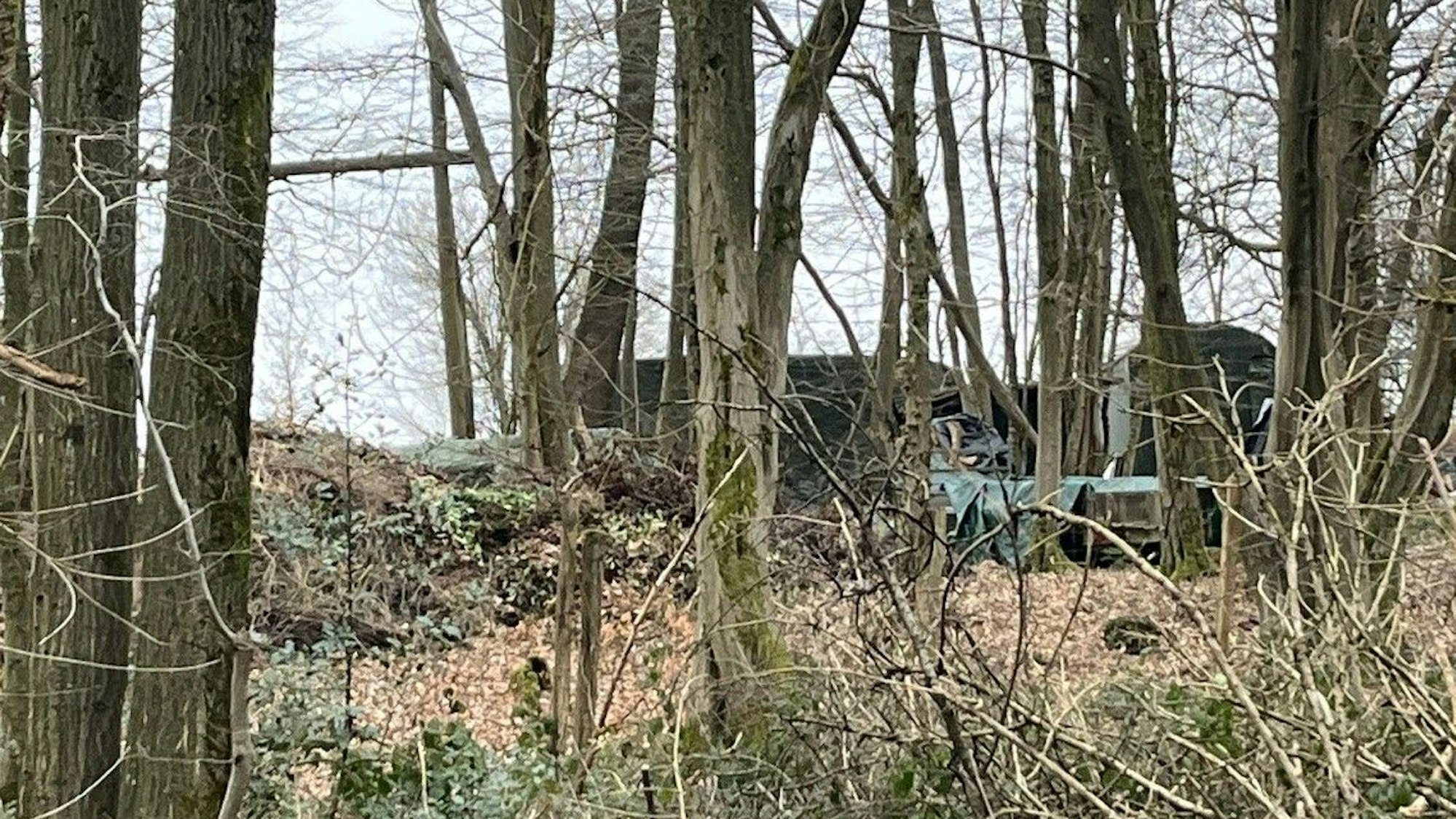 Ein Wohnwagen mitten in einem Wald.