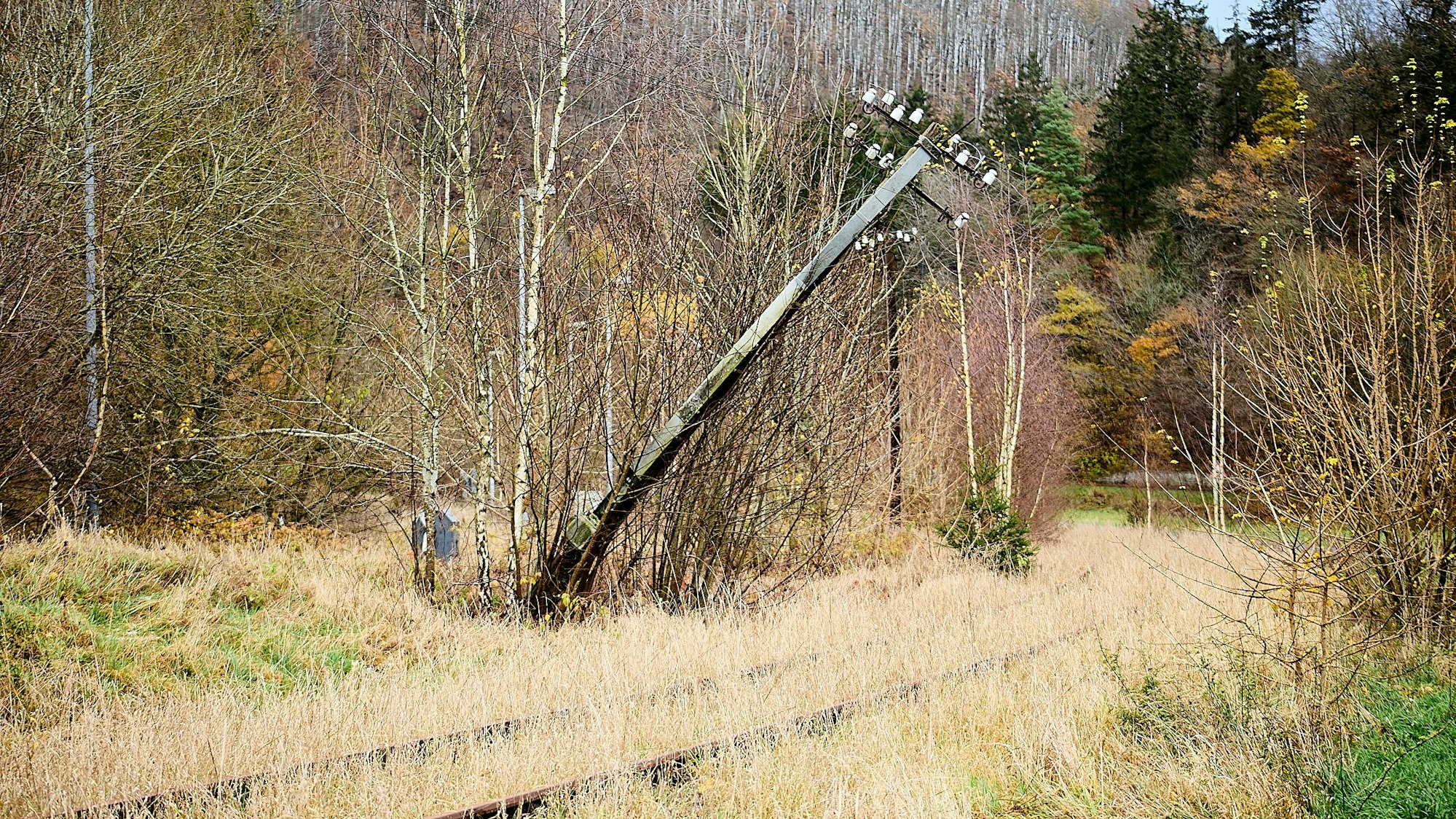 Die Bahnanlagen der Oleftalbahn am Höddelbusch bei Schleiden sind von