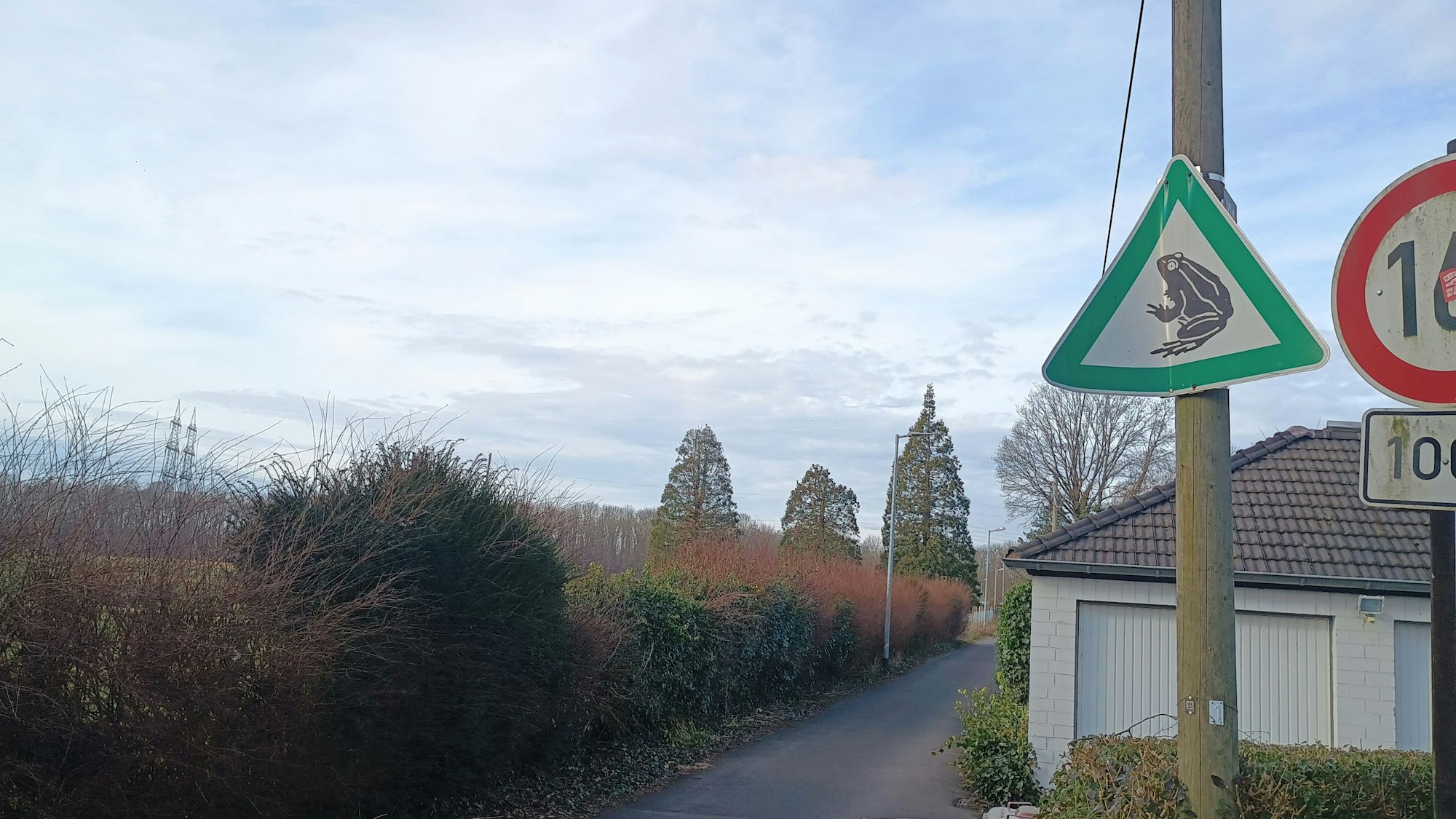 Das dreieckige Schild zeigt eine Kröte und hängt an einem Strommast.