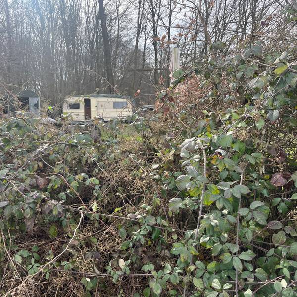 Ein Wohnwagen steht hinter dichtem Gebüsch auf einem Grundstück.