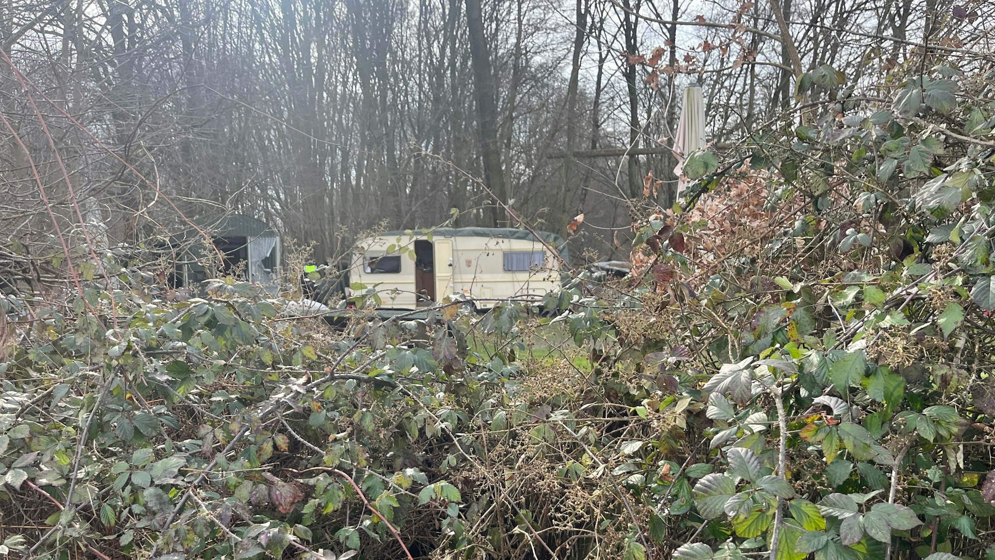 In Ruppichteroth-Stranzenbach hat ein 74-Jähriger, vermutlich aus der Prepper-Szene, einen 24-Jährigen niedergeschossen und mit einem Gewehr auf ihn eingeschlagen.