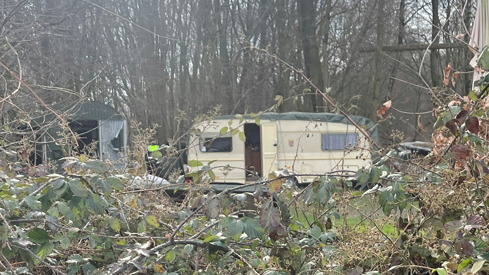 Auf einem Grundstück im Wald stehen ein Wohnwagen und mehrere Verschläge.