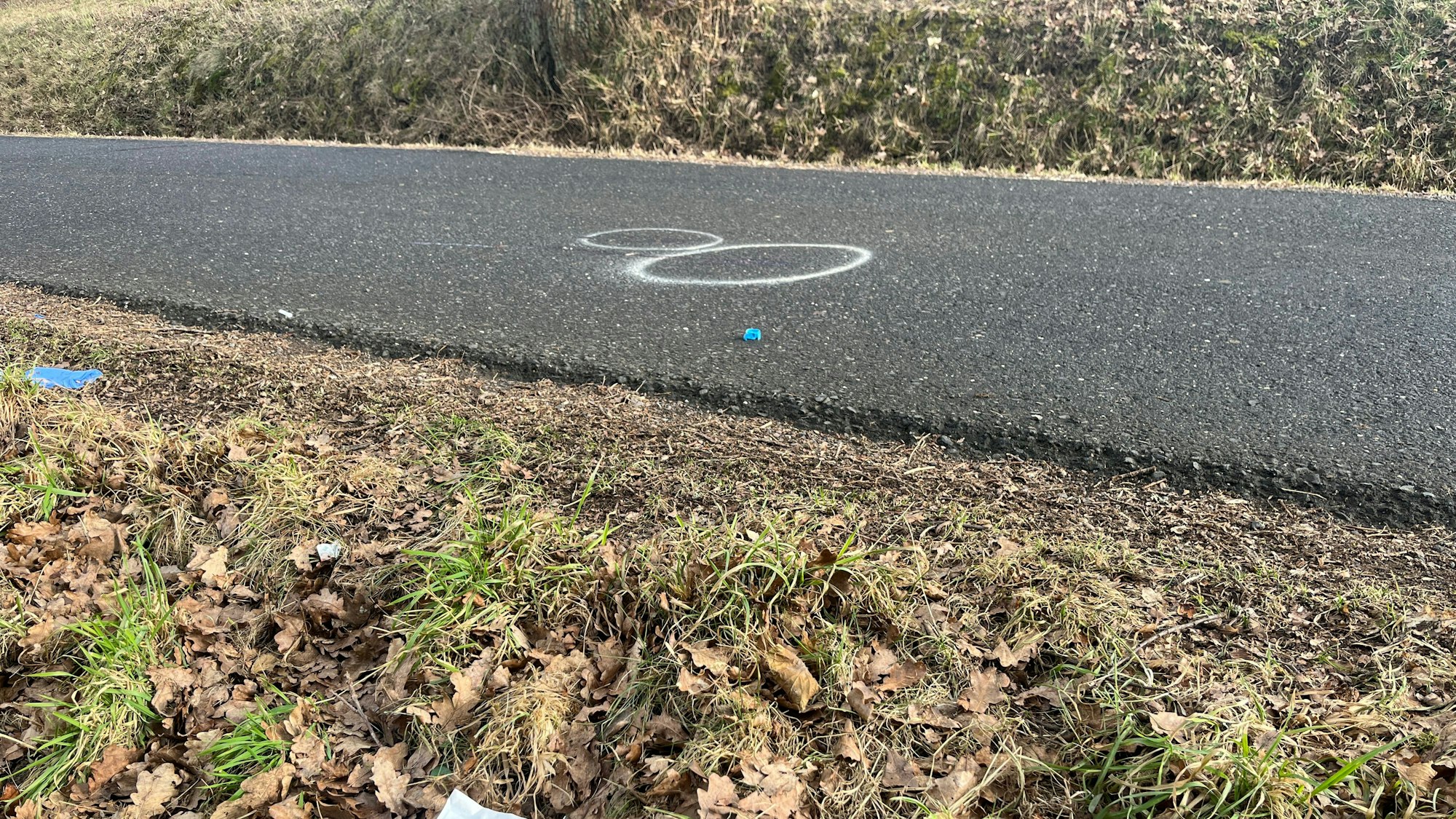 Der Schwerverletzte war auf die Straße gerollt. Spuren wurden dort gesichert.