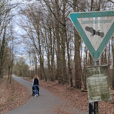 Das Bild zeigt einen Waldweg