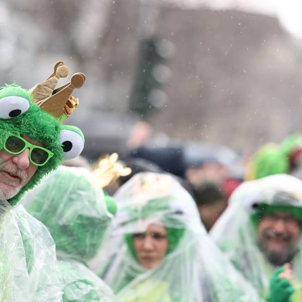 ARCHIV - 12.02.2024, Nordrhein-Westfalen, Köln: Karnevalisten schützen sich vor Regen während des Rosenmontagsumzugs. Mit den Rosenmontagszügen erreicht der rheinische Straßenkarneval seinen Höhepunkt. Das Motto der Kölner Karnevalssession 2024 lautet "Wat e Theater - wat e Jeckespill".
In Köln waren gleich mehrere Frösche zu sehen. (zu dpa: «Wechselhaftes Wetter in Rheinland-Pfalz und Saarland») Foto: Rolf Vennenbernd/dpa +++ dpa-Bildfunk +++