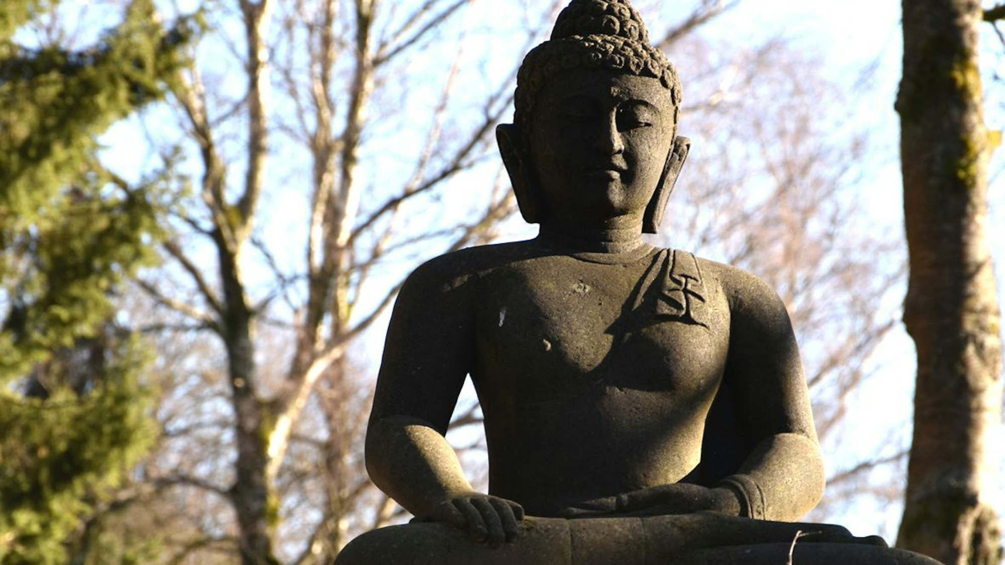 Eine Buddha-Statue in einem Wald.