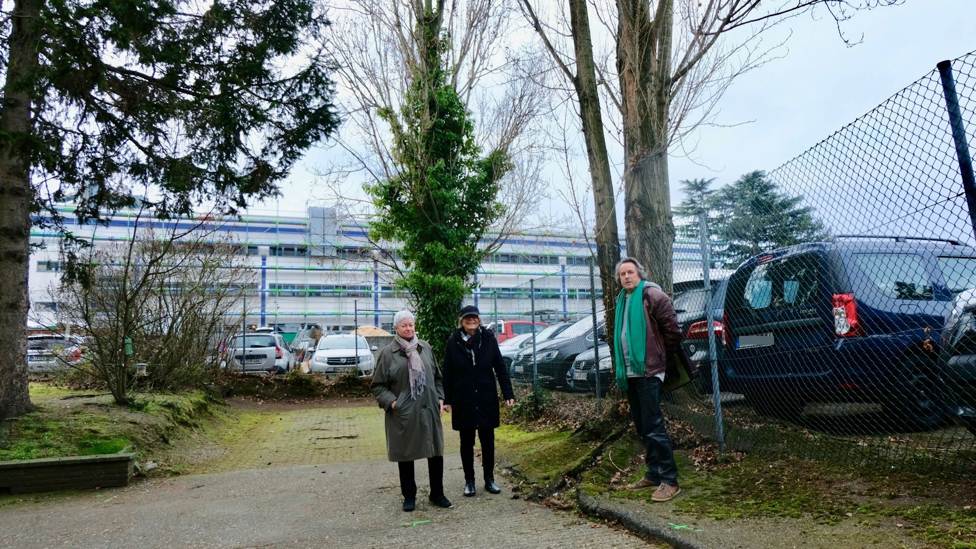 Zwei Frauen und ein Mann stehen vor zwei Schwarzpappeln.