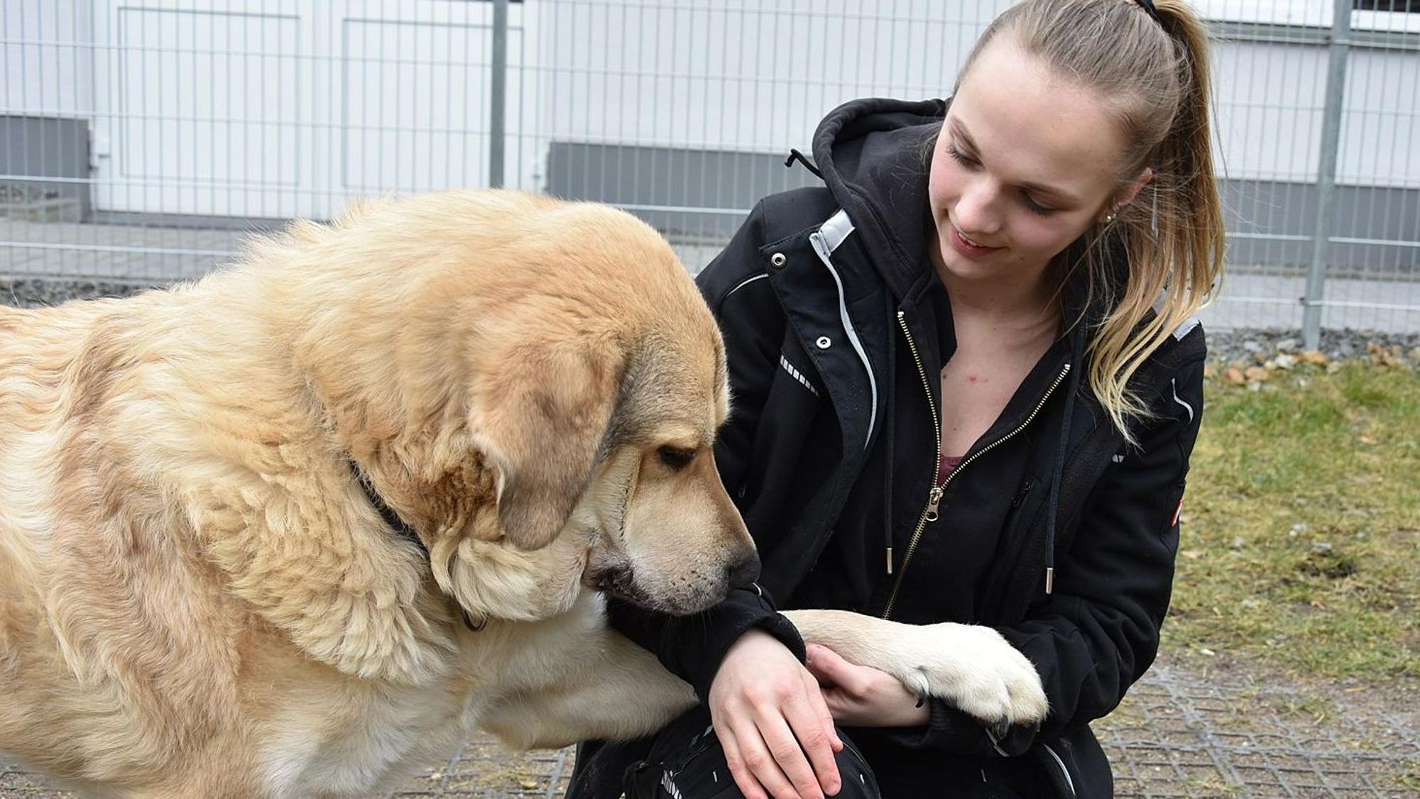 Das Foto zeigt Kristin Walotka und Hund Aldrin im Tierheim Koppelweide.