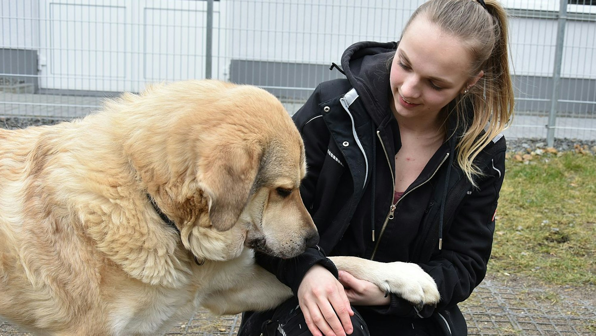 Das Foto zeigt Kristin Walotka und Hund Aldrin im Tierheim Koppelweide.