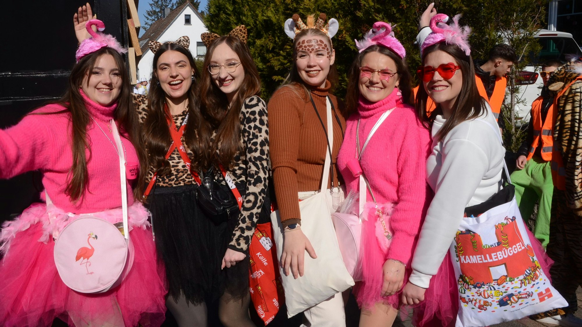 „Der Zoo ist ausgebrochen“ war das Motto der Vorgebirgsjecken.