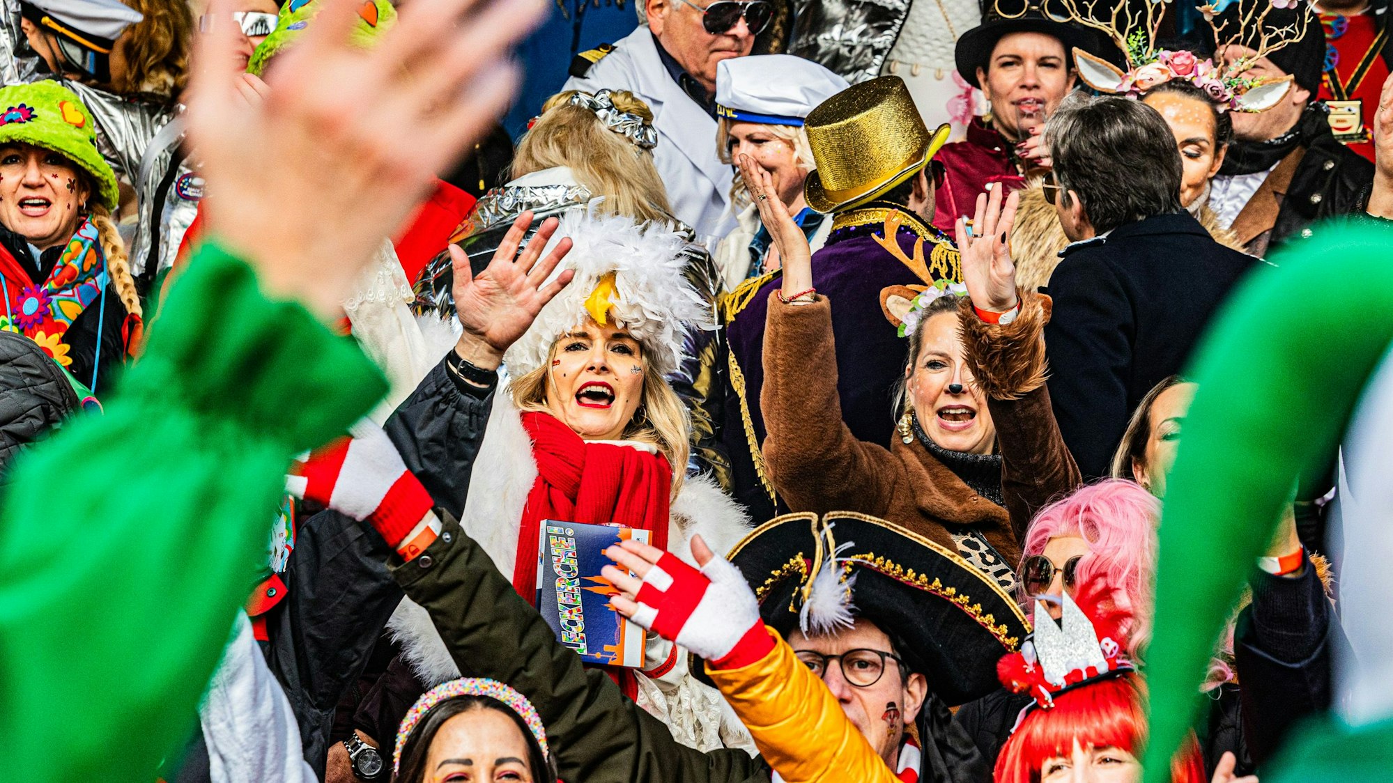Die Kostüme der Jecken strahlten in der Sonne.