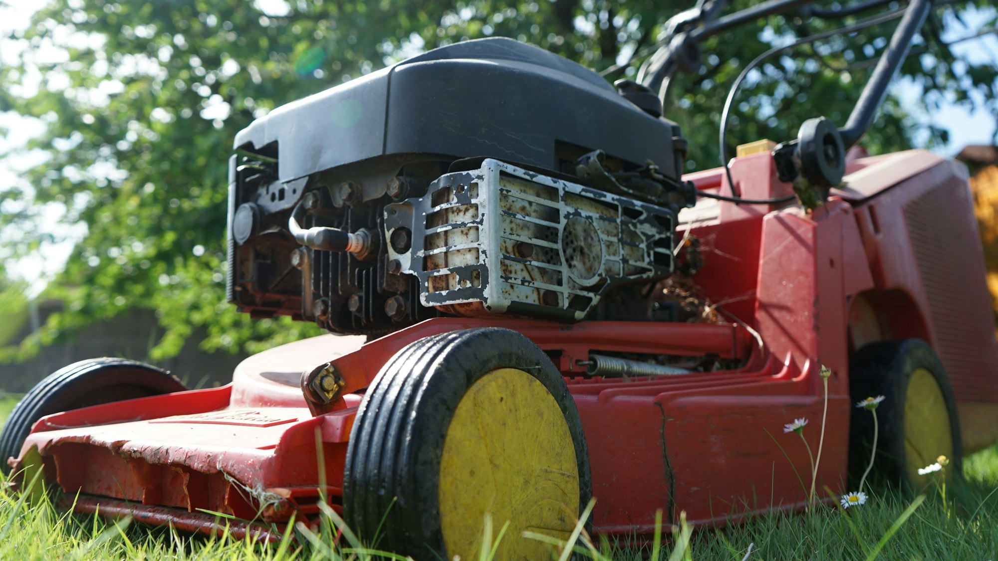 Ein Rasenmäher steht auf einer Wiese.