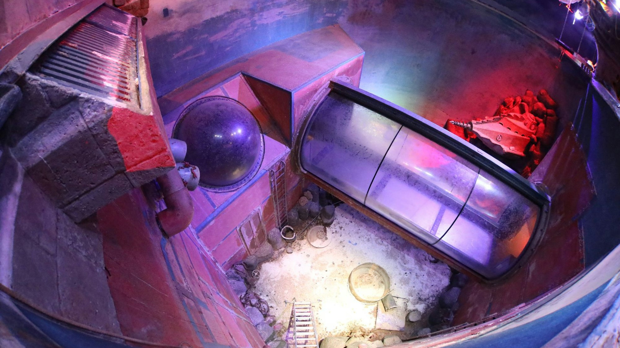 Blick von oben in ein riesiges, frühere Aquariumbecken.