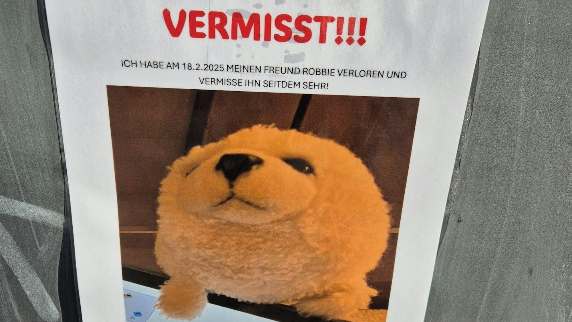 Suche nach Kuscheltier Robbie