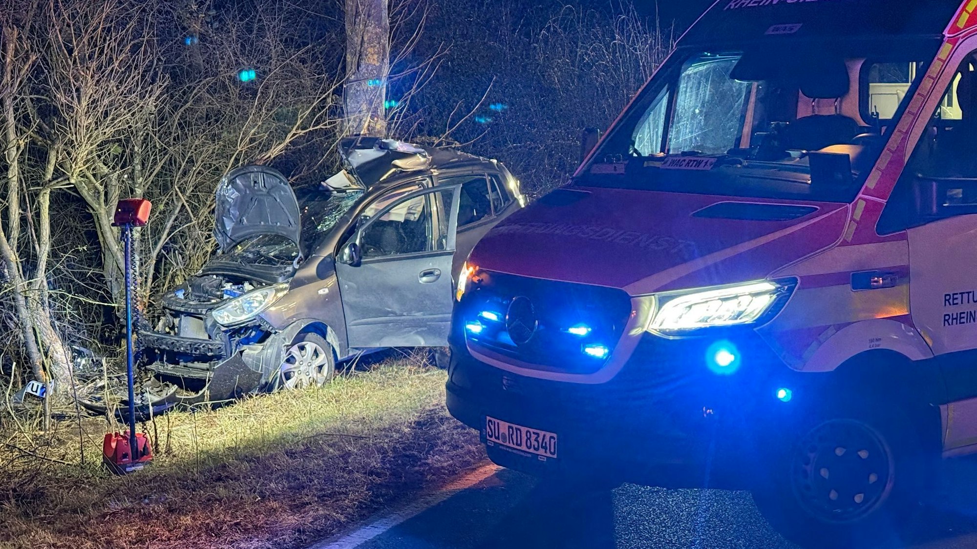 Ein Autowrack steht an einem Baum.