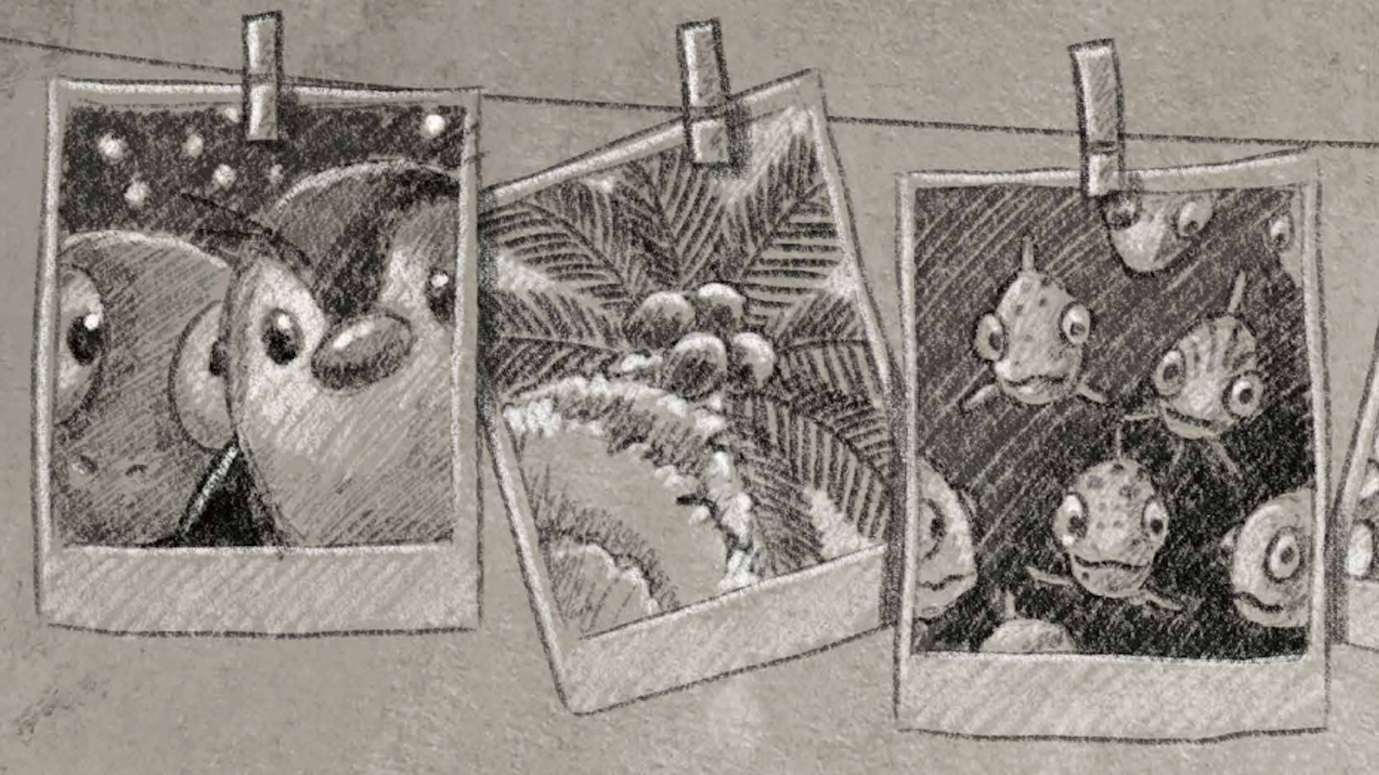 Gezeichnete Fotos von Tieren und einer Palme hängen mit Wäscheklammern an einer Leine nebeneinander.