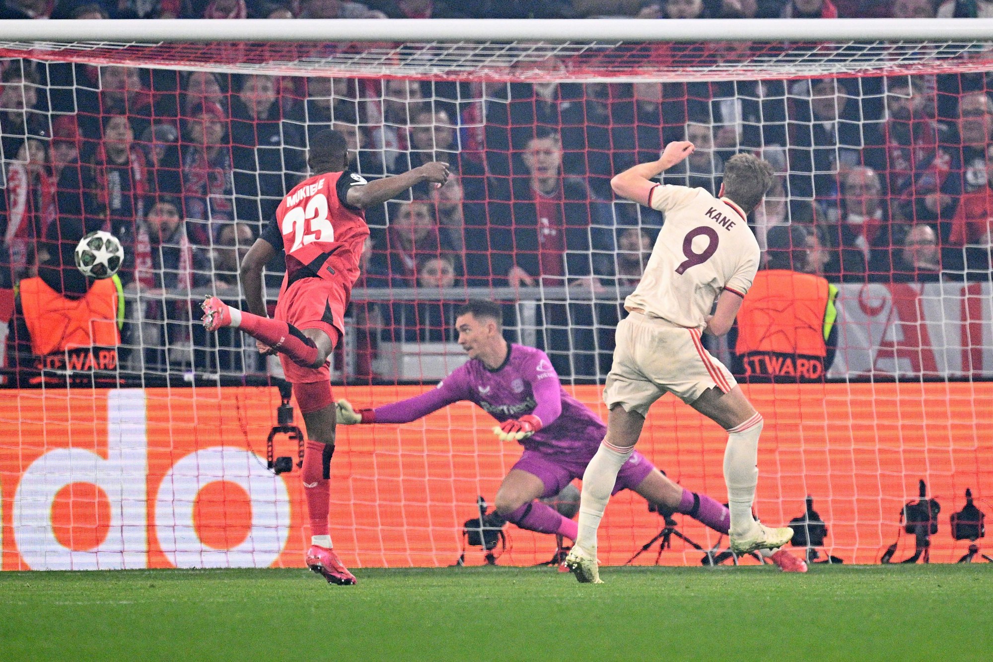 Die frühe Führung: Harry Kane trifft per Kopf zum 1:0 für Bayern München. Leverkusens Torwart Matej Kovar ist chancenlos.