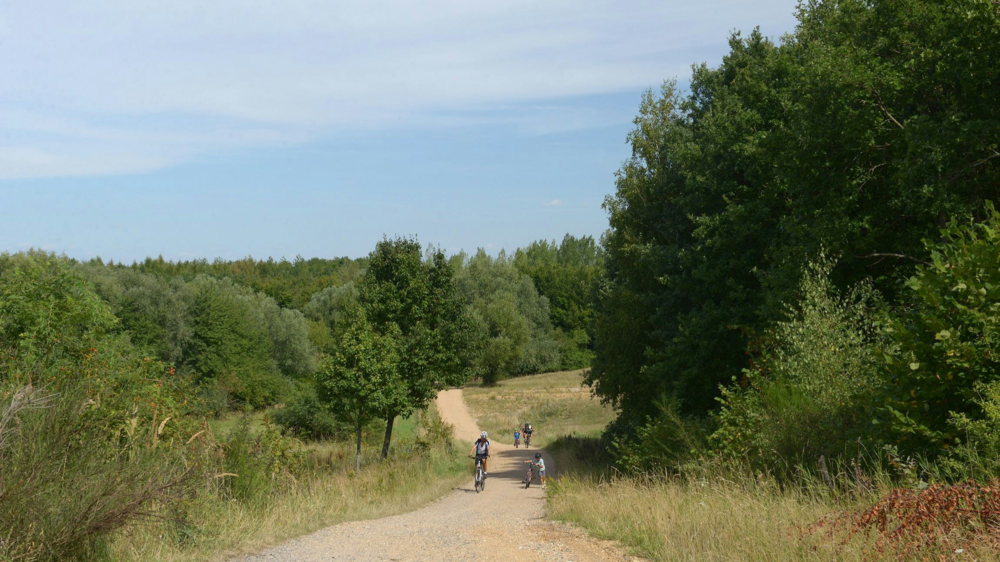 Auf dem Bild ist die Strecke zu sehen, befahren von einigen Radlern, links und rechts des Weges viele Büsche und Bäume.