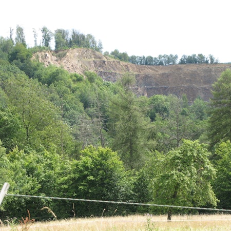 Bäume und die Abbaukante eines Steinbruchs im Hintergrund.