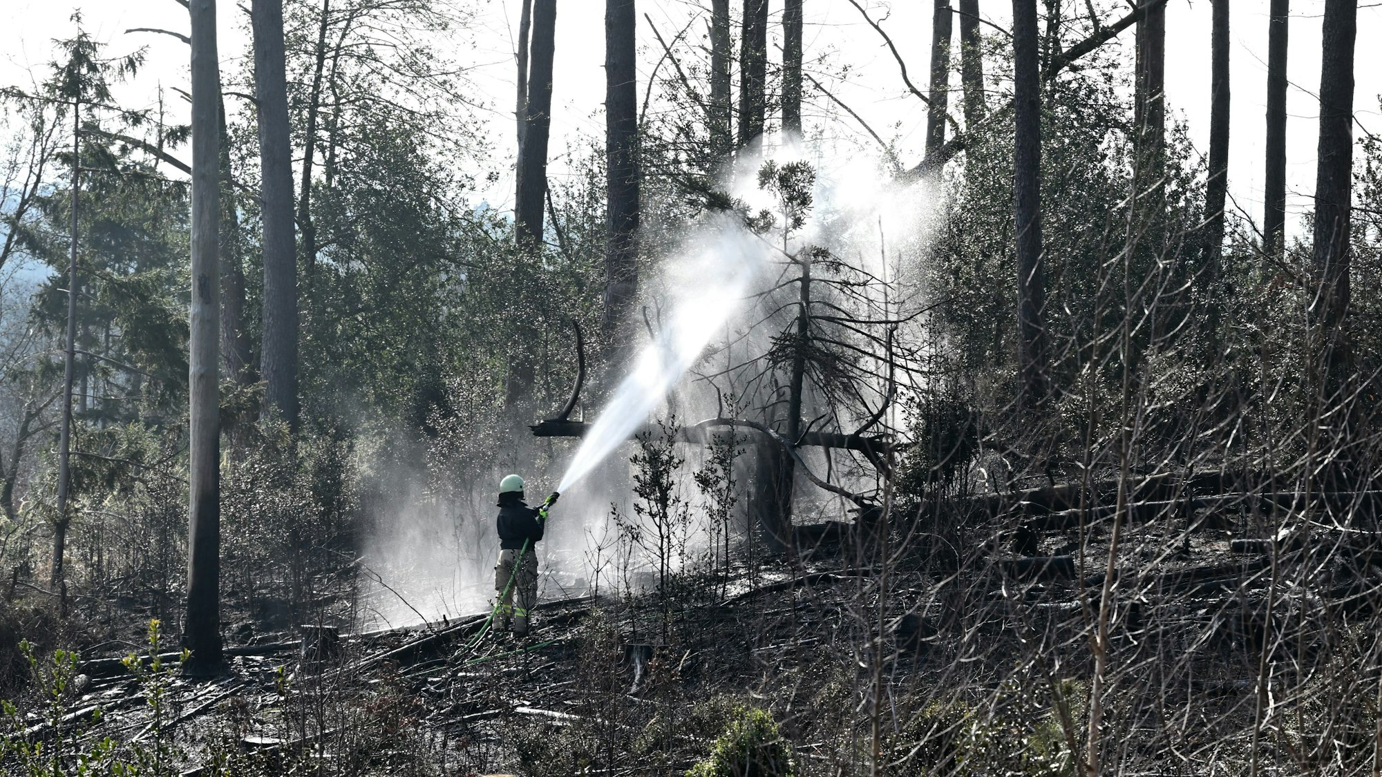 Eine rund 2000 Quadratmeter große Fläche stand im Königsforst auf Gladbacher Gebiet in Flammen.