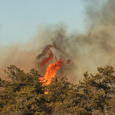 Flammen schlagen aus der Vegetation während eins Buschfeuers in Suffolk County auf Long Island in New York.