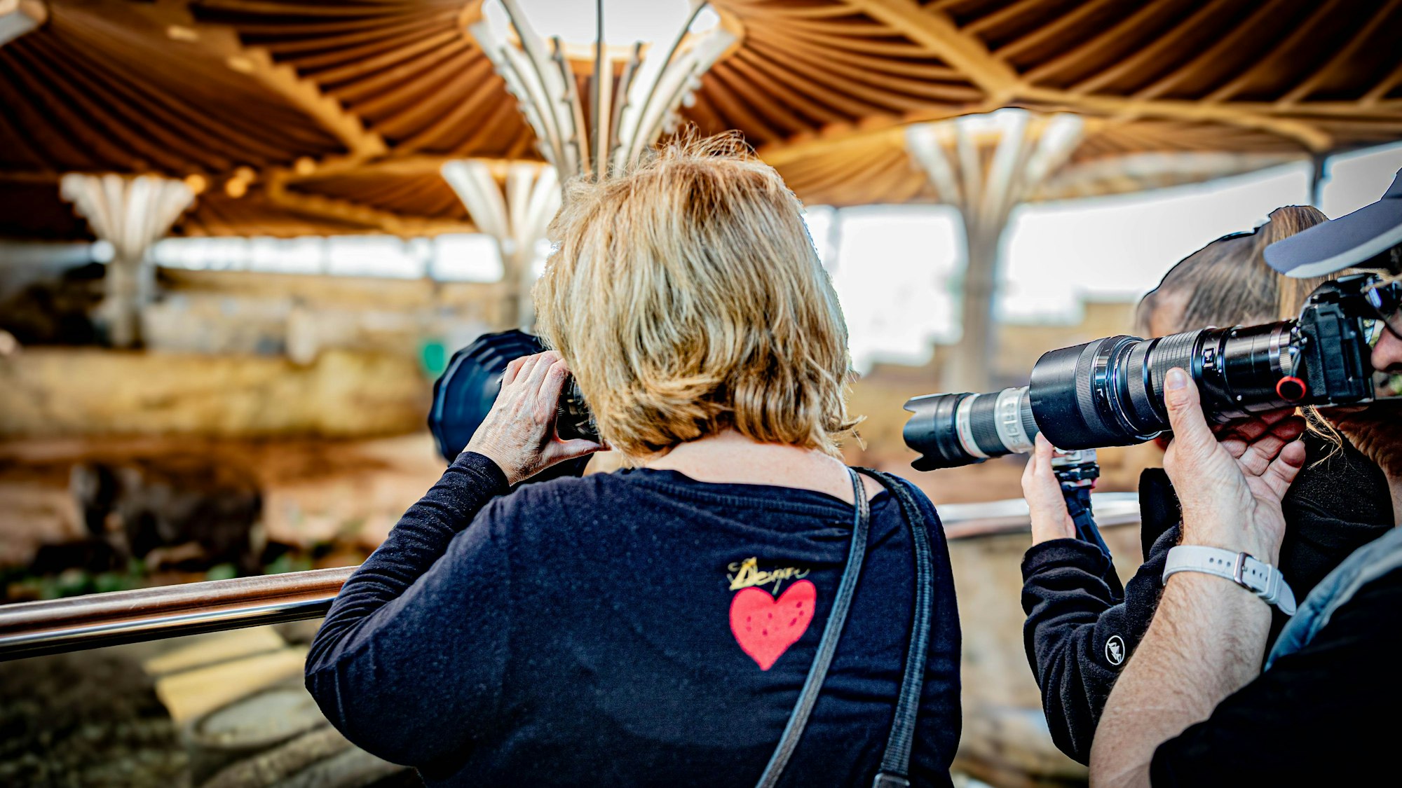 Viele Besucher kamen, um den Elefantenjungbullen zu sehen und den Moment festzuhalten.