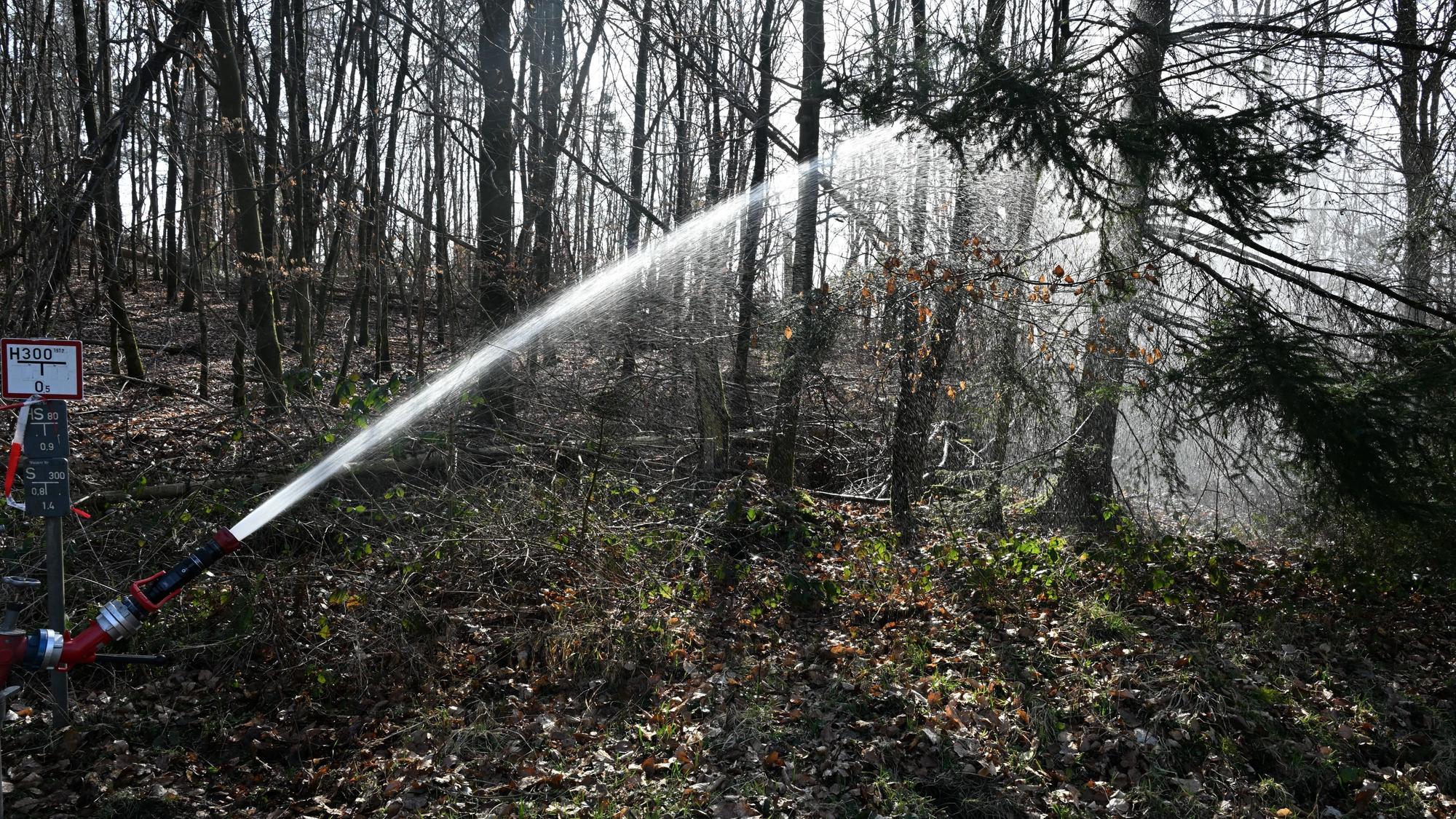 Aus dem Brand im Königsforst ziehen Feuerwehr und Forstamt verschiedene Lehren.