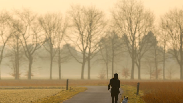 Saharastaub ist am 10. März 2025 in Düsseldorf zu bemerken.