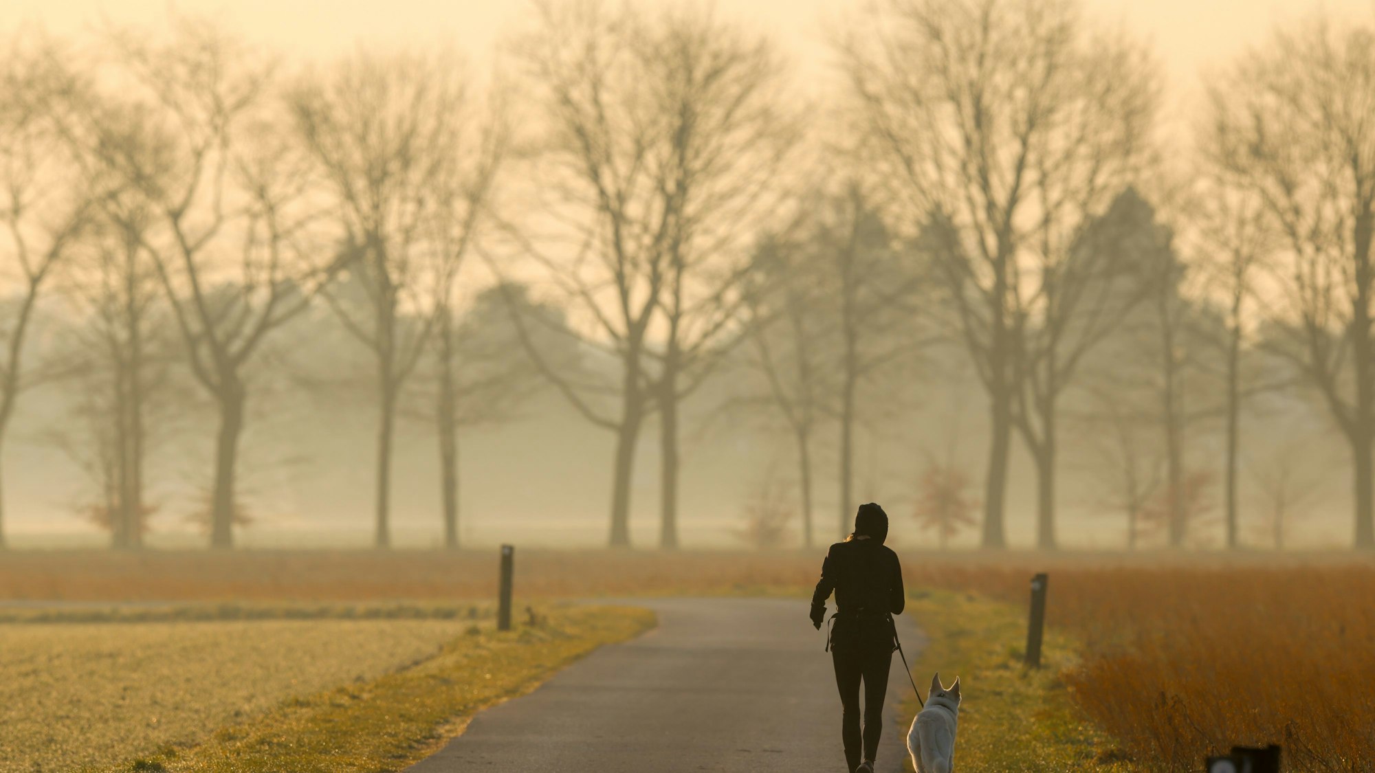 10.03.2025, Nordrhein-Westfalen, Düsseldorf: Eine Joggerin mit Hund ist im dunstigen Morgenlicht zu sehen. Staub aus der Sahara macht das Sonnenlicht in Deutschland derzeit etwas milchiger und wärmer. Dem Deutschen Wetterdienst (DWD) zufolge wird es auch am Montag weitere Belastungen geben. Foto: Christoph Reichwein/dpa +++ dpa-Bildfunk +++