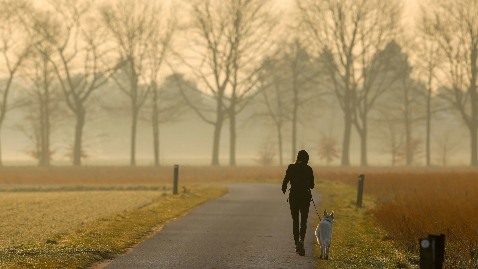 Saharastaub ist am 10. März 2025 in Düsseldorf zu bemerken.