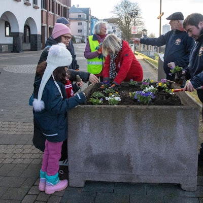Gemeinsam bepflanzt haben Mitglieder des Bürgervereins Porz-Mitte und der KG Porzer Stadtgarde die Blumenkübel am Friedrich-Ebert-Ufer.