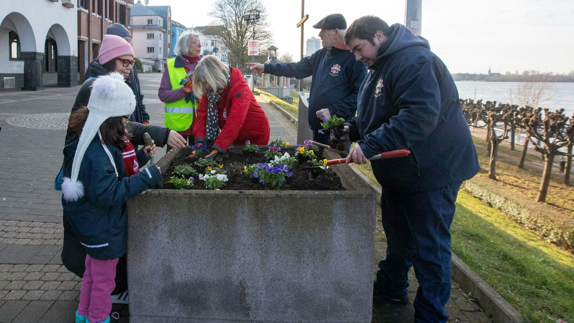 Gemeinsam bepflanzt haben Mitglieder des Bürgervereins Porz-Mitte und der KG Porzer Stadtgarde die Blumenkübel am Friedrich-Ebert-Ufer.
