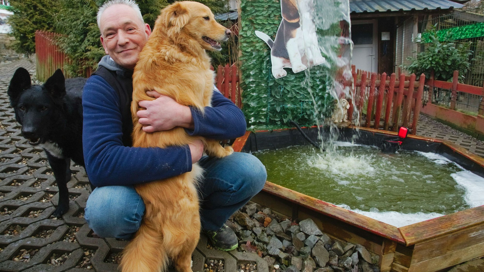 In der Hundepension von Thomas Kirschnick sind täglich etwa sieben Hunde zu Gast, und rund 30 weitere Vierbeiner warten in der Reichshofer Ortschaft Sterzenbach darauf, nun in liebevolle Hände vermittelt zu werden.