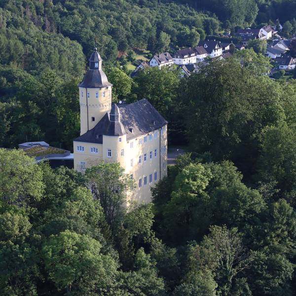 Luftbild von Schloss Homburg