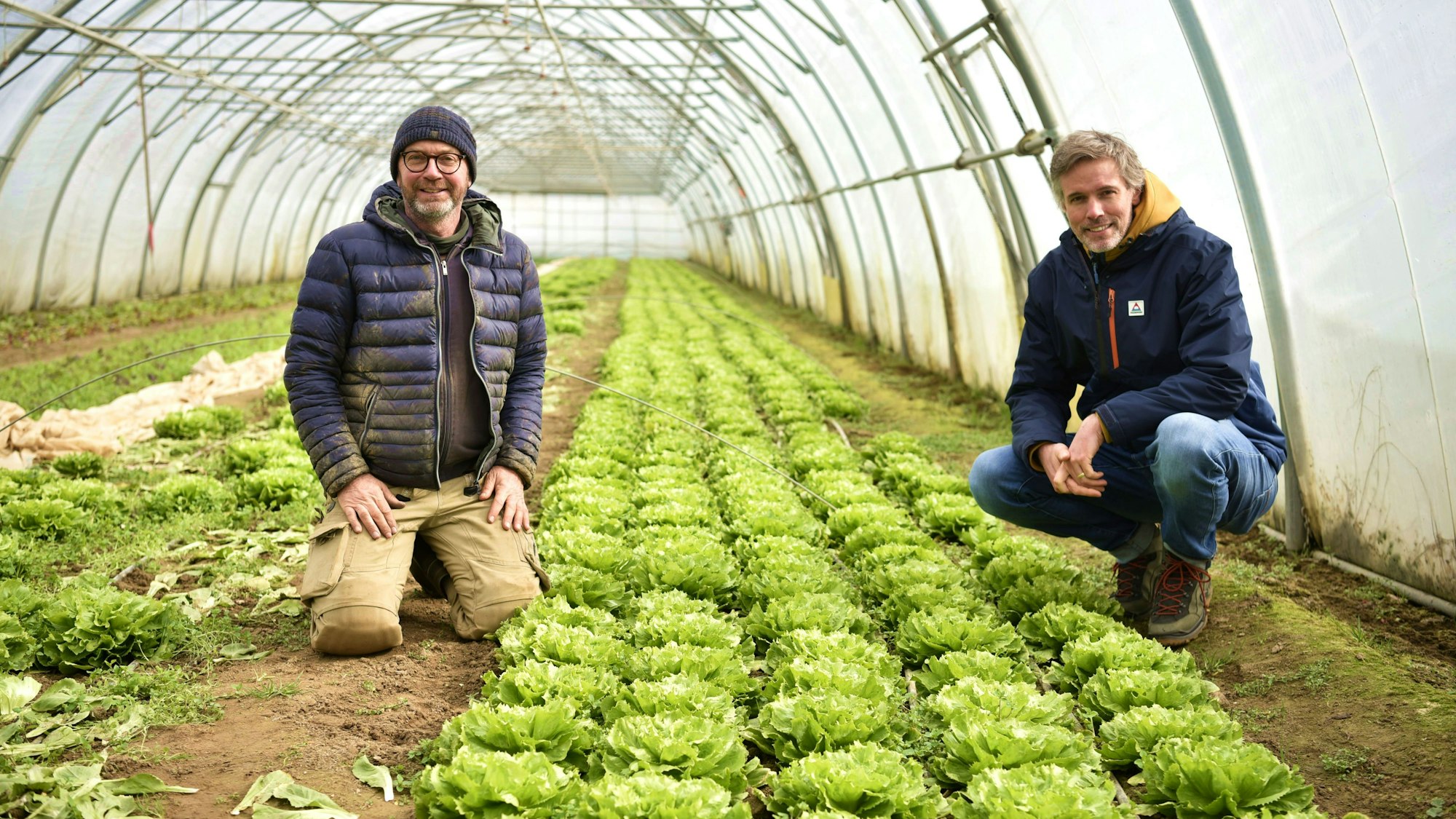 Arne Mehrens und André Lehner knien in einem Gewächshaus mit Salat.