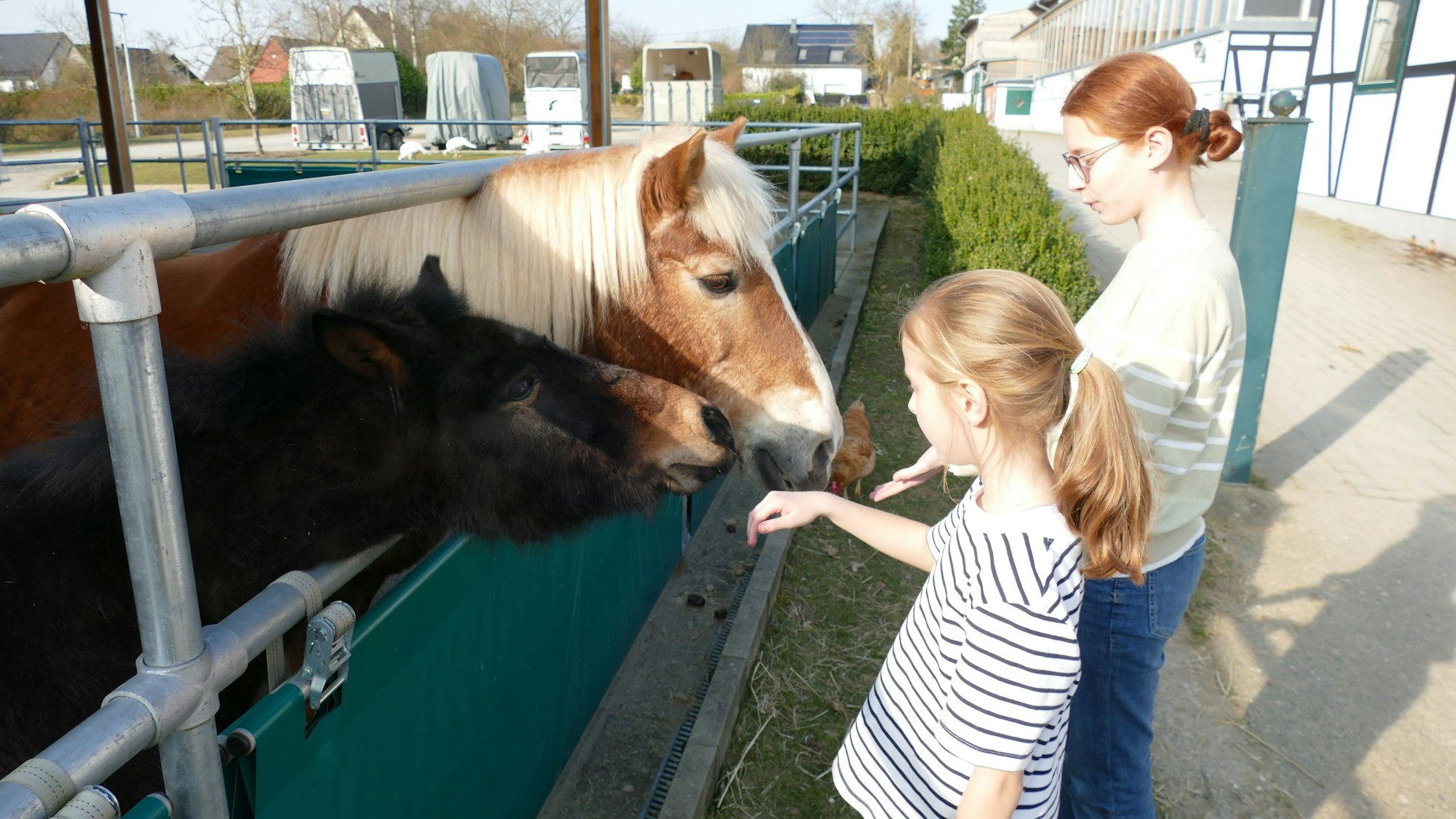 Zwei Mädchen stehen an einem Stallzaun und streicheln ein Pferd und ein Muli.