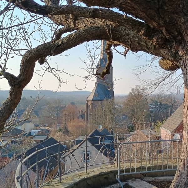 Zu sehen ist der Baum und dahinter die Aussicht auf Oberaußem.