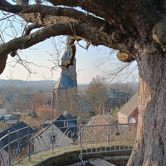 Zu sehen ist der Baum und dahinter die Aussicht auf Oberaußem.