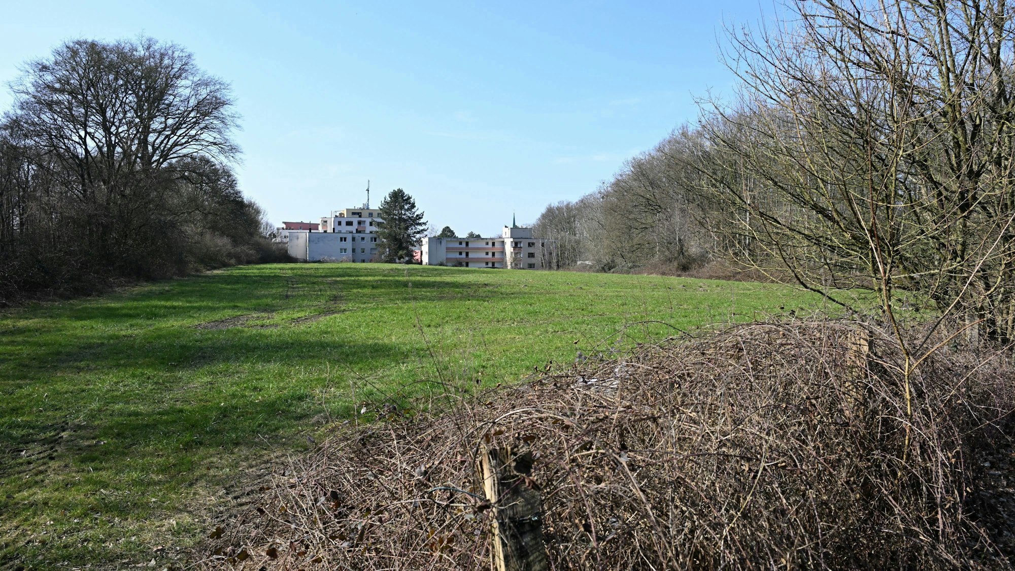 Das Foto zeigt eine Wiese am Lerbacher Weg in Bergisch Gladbach