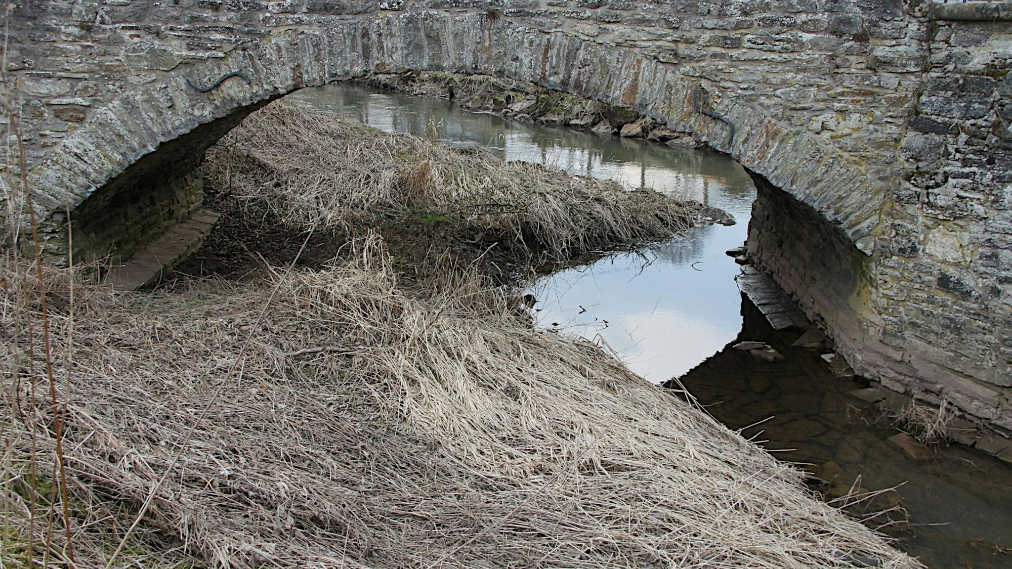 Unter der historischen Nepomuk-Brücke bei Dahlem-Kronenburg sind Stickungen zu erkennen.