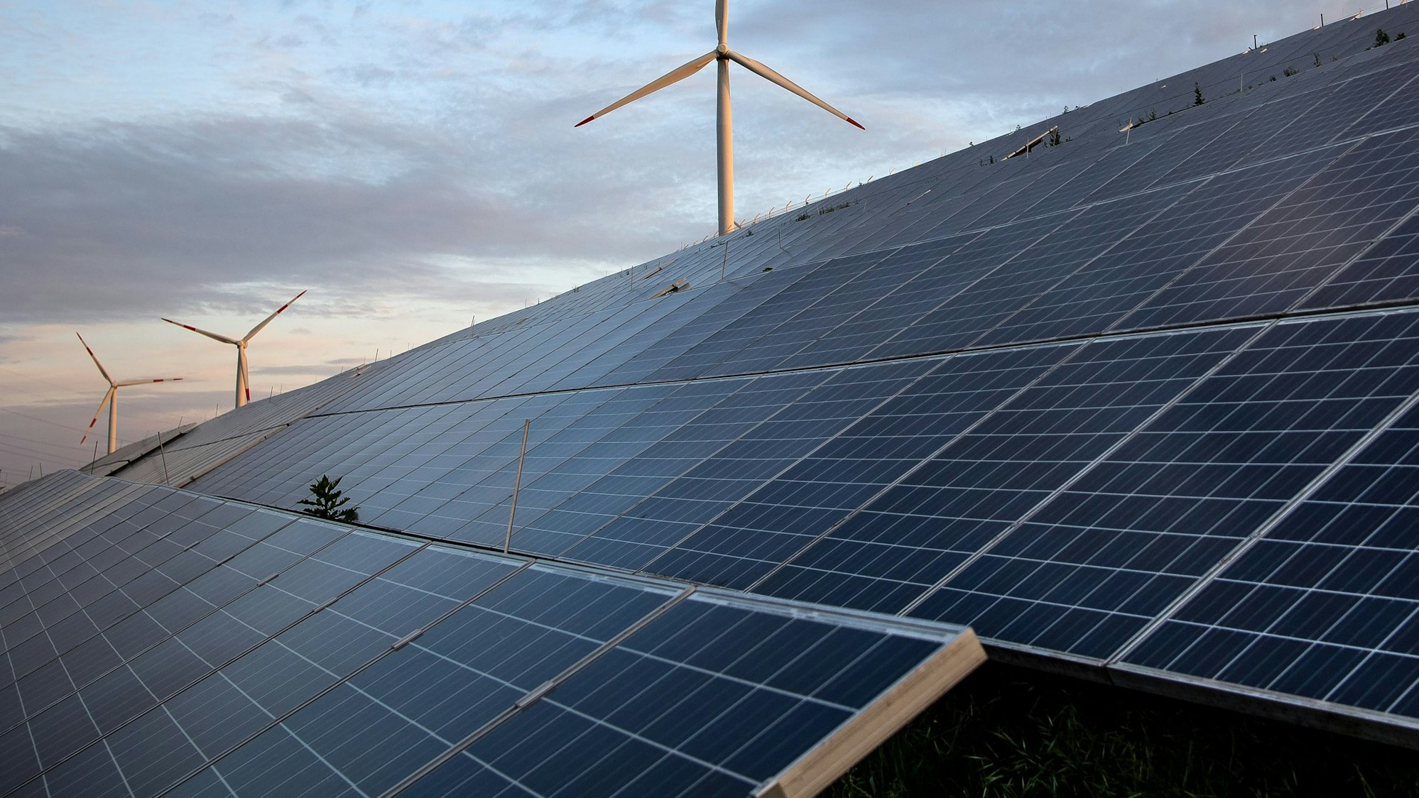 Blick auf eine Freiflächenphotovoltaikanlage.