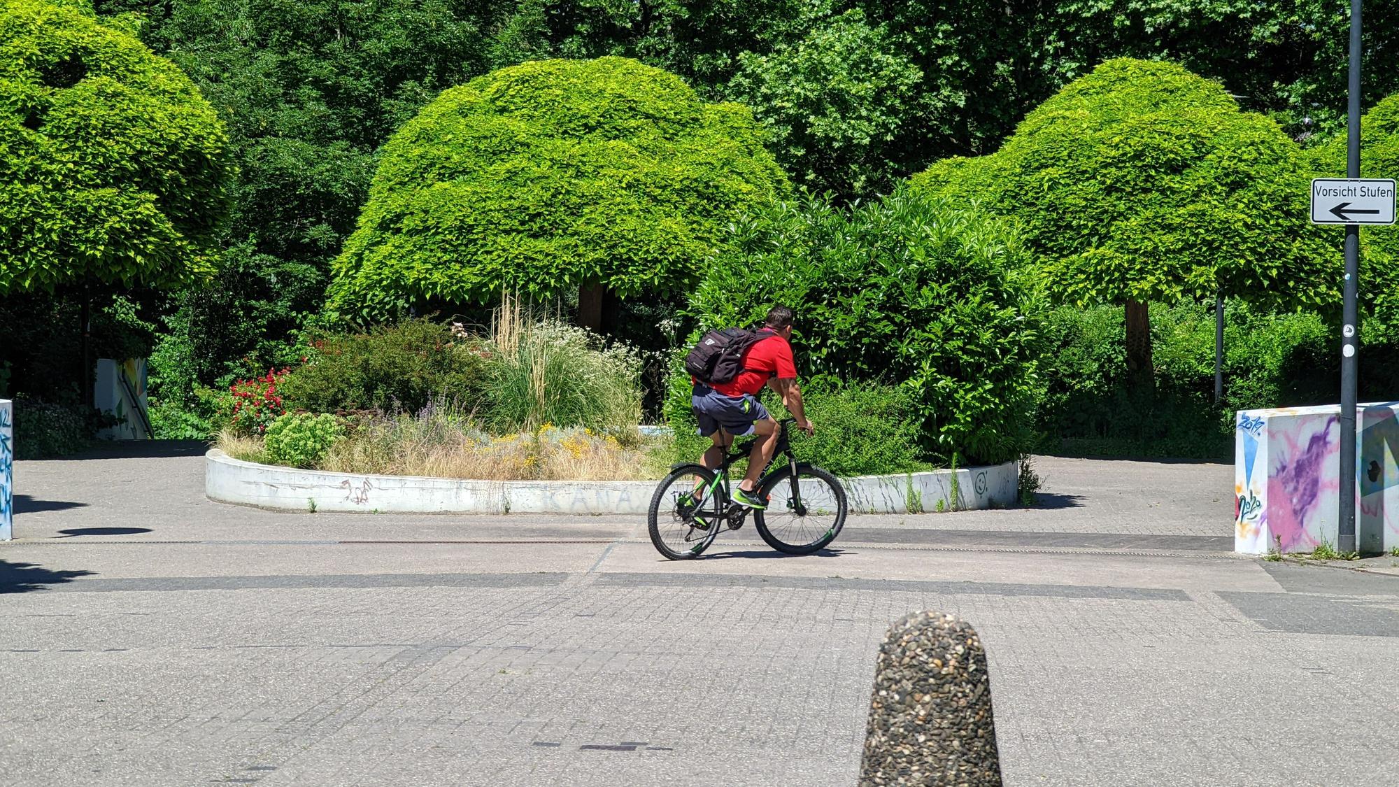 Auf dem Foto ist eine Grünanlage zu sehen.