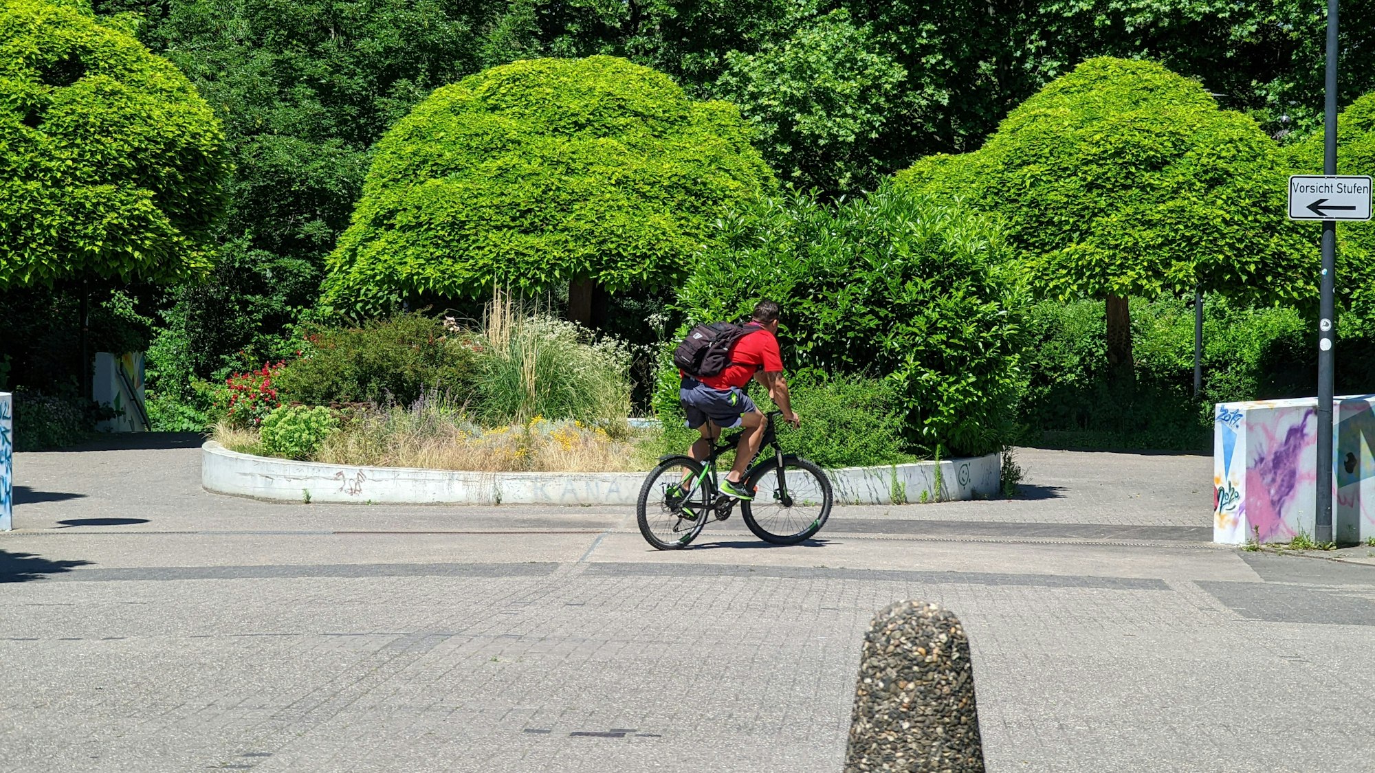 Auf dem Foto ist eine Grünanlage zu sehen.