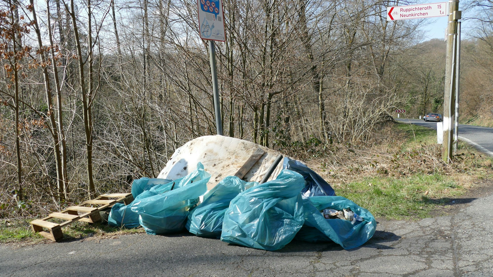 Säckeweise Müll und eine Matratze liegen auf einer Strraße am Waldrand.