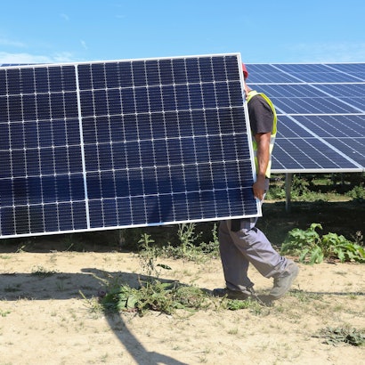 Mitarbeiter einer Montagefirma tragen ein Solarmodul durch einen Solarpark.
