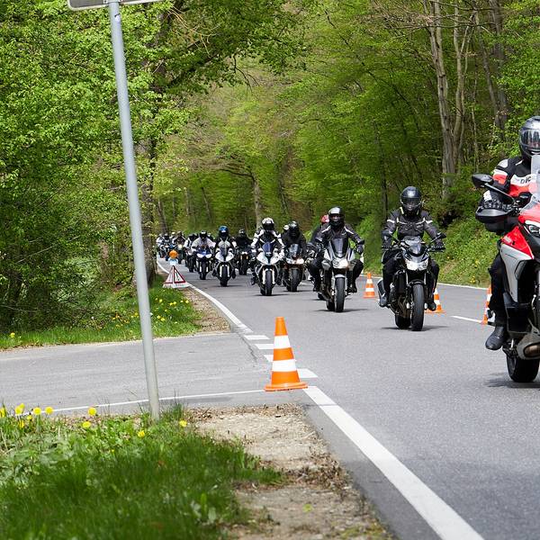 Das Bild zeigt eine große Gruppe von Motorradfahrern auf einer Straße, die durch ein Waldgebiet führt.