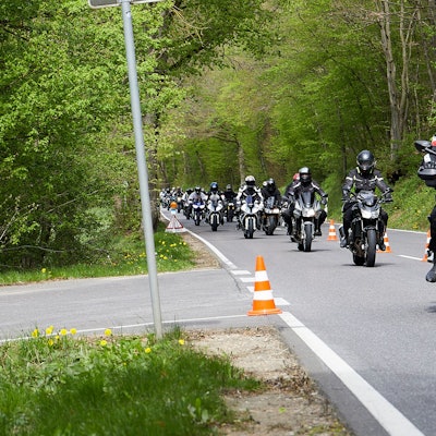 Das Bild zeigt eine große Gruppe von Motorradfahrern auf einer Straße, die durch ein Waldgebiet führt.